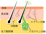 water-jet法